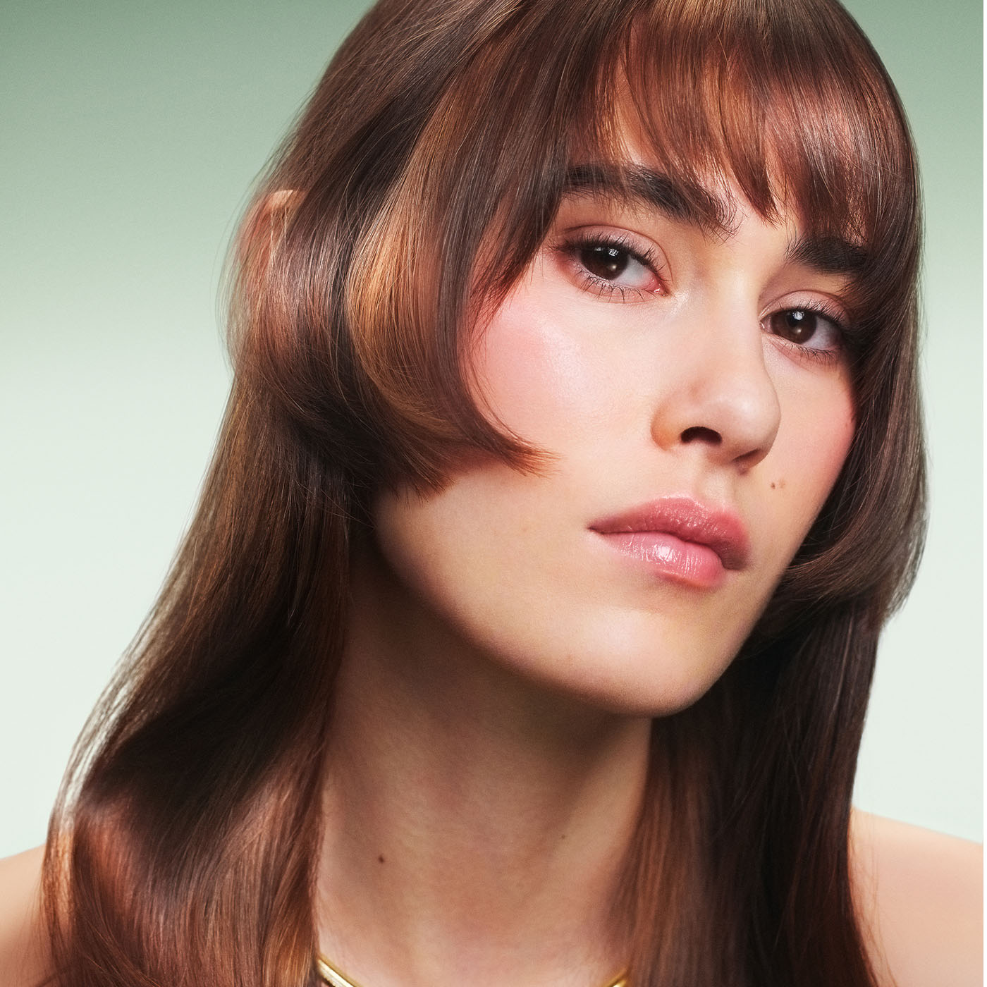 Model with long, rich brown glossy hair on green background.